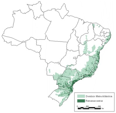 Domínio Mata Atlântica e seus Remanescentes