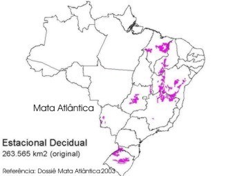 Floresta Estacional Decidual