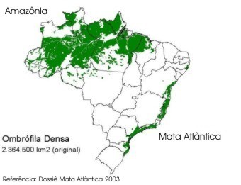 Floresta Ombrófila Densa