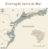 Ecorregião Serra do Mar