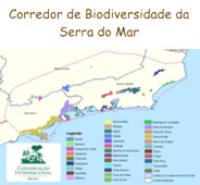 Corredor de Biodiversidade da Serra do Mar
