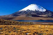 Reserva da Biosfera no Chile