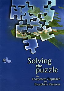 Solving the puzzle