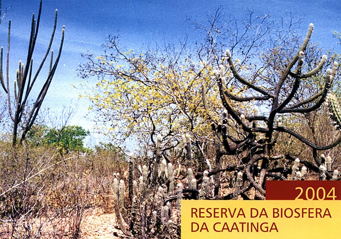 Folder da Reserva da Biosfera da Caatinga