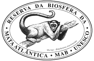 Logo da RBMA