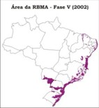Área da RBMA - Fase V (2002)
